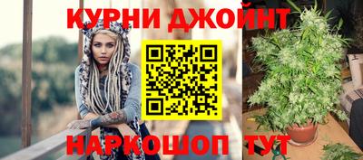 твердый Камышлов