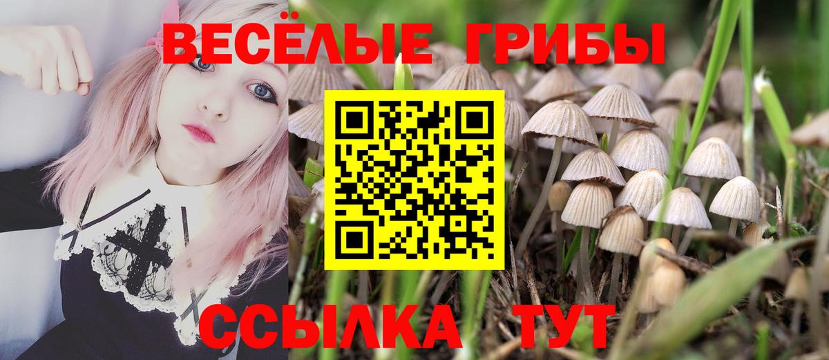 Псилоцибиновые грибы мухоморы  Псилоцибиновые грибы Magic Shrooms  Вход с VPN  где купить наркоту  Магнитогорск 